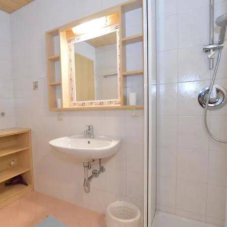Appartamento Wagrainer Bergnest 1 Wagrain